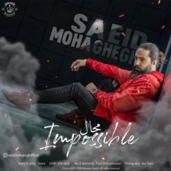 Saeid Mohaghegh   –   Mahal